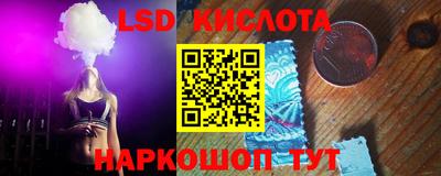 прущие грибы Краснодар