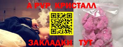 прущие грибы Краснодар