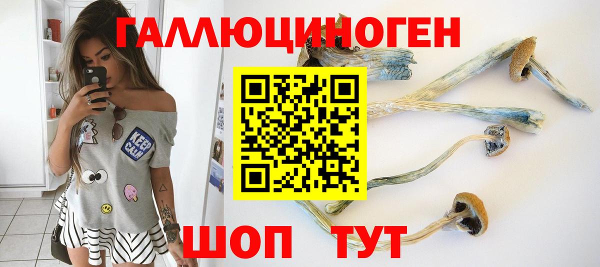 дарнет шоп  Галлюциногенные грибы мухоморы  Златоуст  Вход с VPN  Псилоцибиновые грибы мицелий 